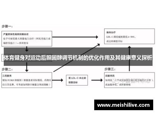 体育健身对运动后胆固醇调节机制的优化作用及其健康意义探析