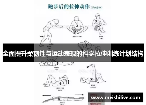 全面提升柔韧性与运动表现的科学拉伸训练计划结构